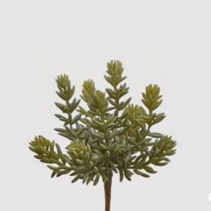 Pianta succulenta ramo H 18 cm