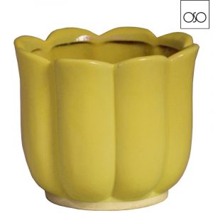 Vaso Blossom color yellow H13 D13