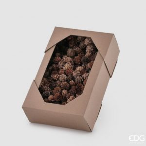 Scatola pigna pino mugo conf. 600gr H3