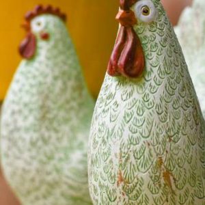 gallina verde ambientazione