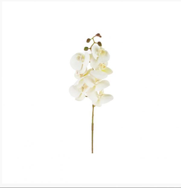 Orchidea natural touch  bianco H105 CM
